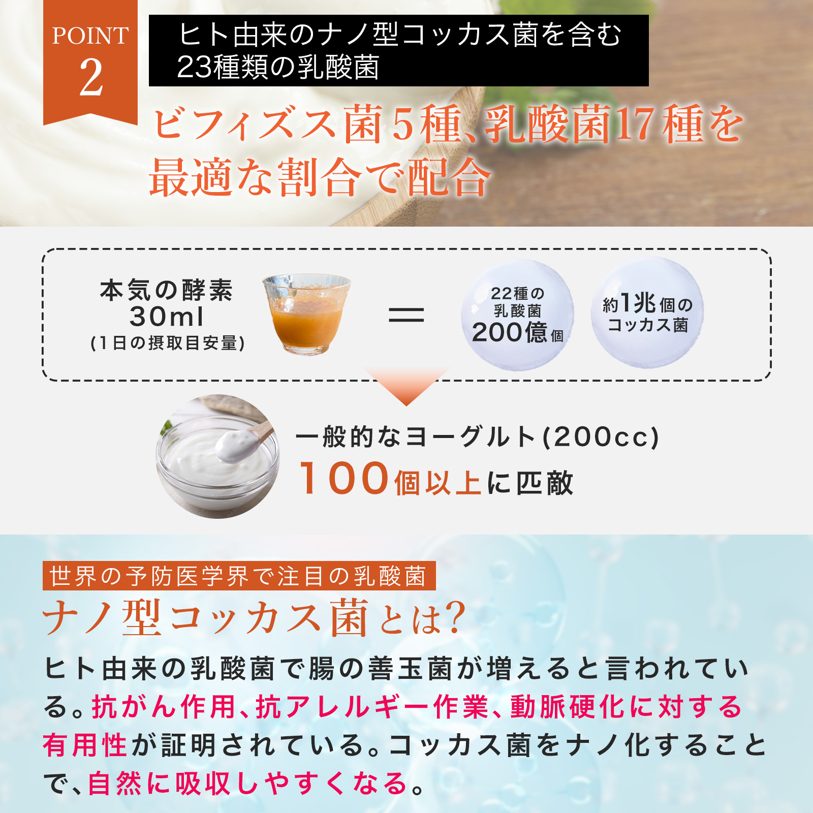 本気の酵素ドリンク