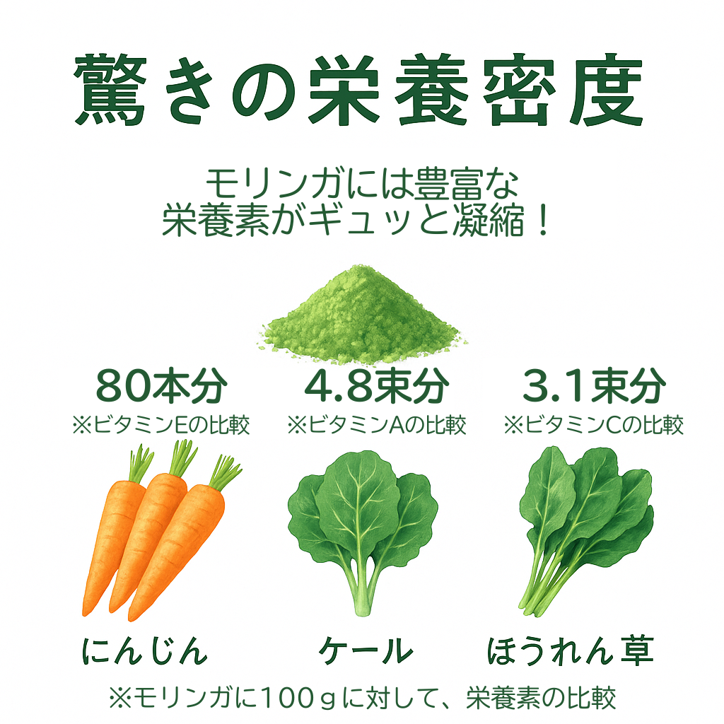 飲む“生命の木”  世界が注目している”モリンガ”パウダー　80g