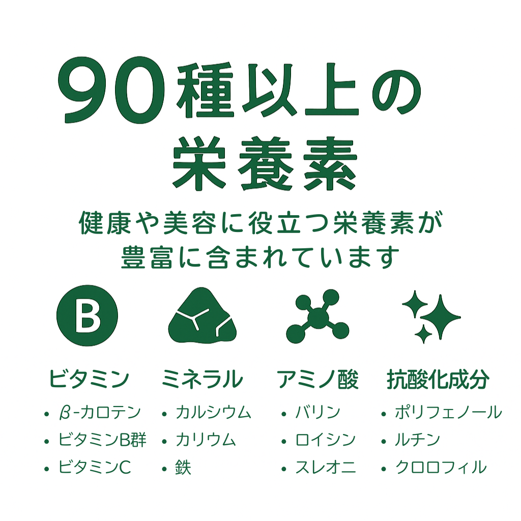 飲む“生命の木”  世界が注目している”モリンガ”パウダー　80g